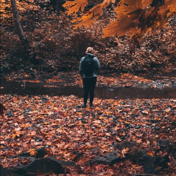 Meet your Posher, Dylan - Picture 1 of 1